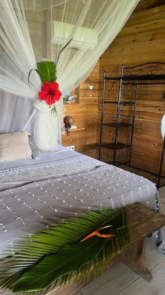 Gite La Tortue Bleue