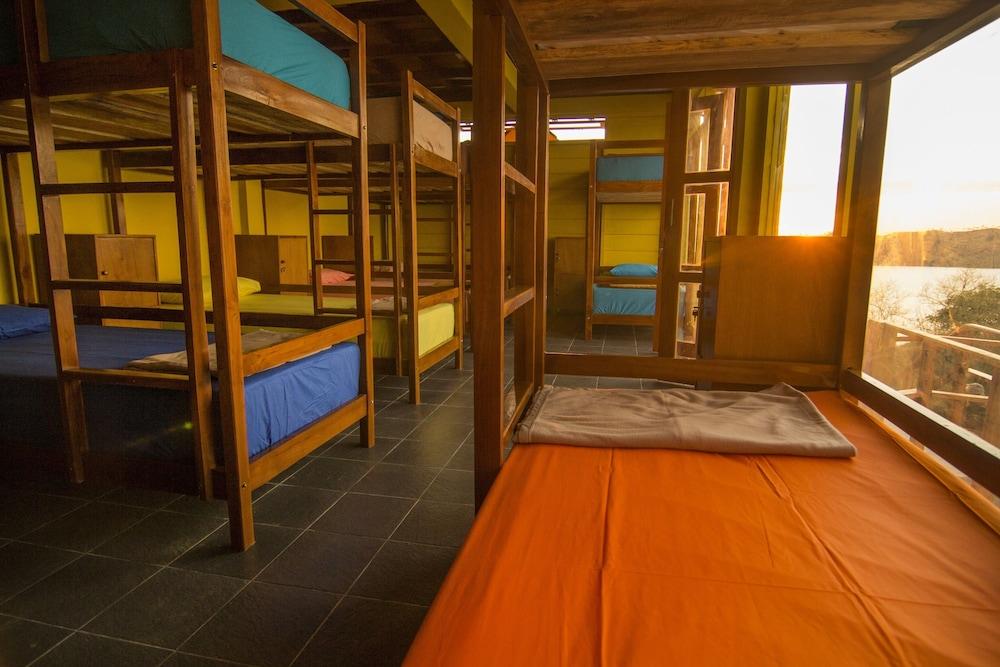 One Tree Hill - Hostel