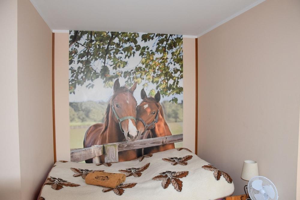 Agroturystyka u przyjaciol Soni