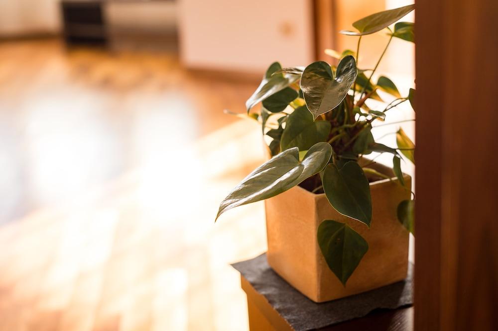 Hotel KRONE - eat, drink, stay