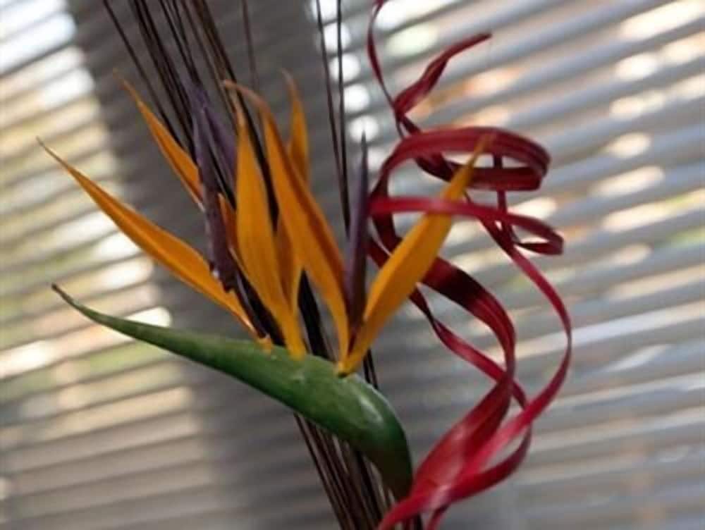 Aberdeen Serviced Apartments - The Lodge