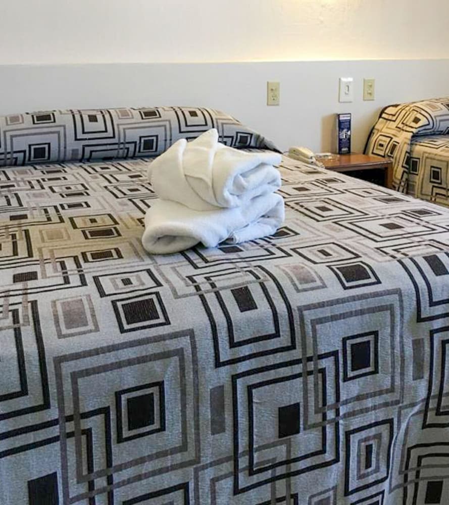 Hotel Terranova Zona Piel