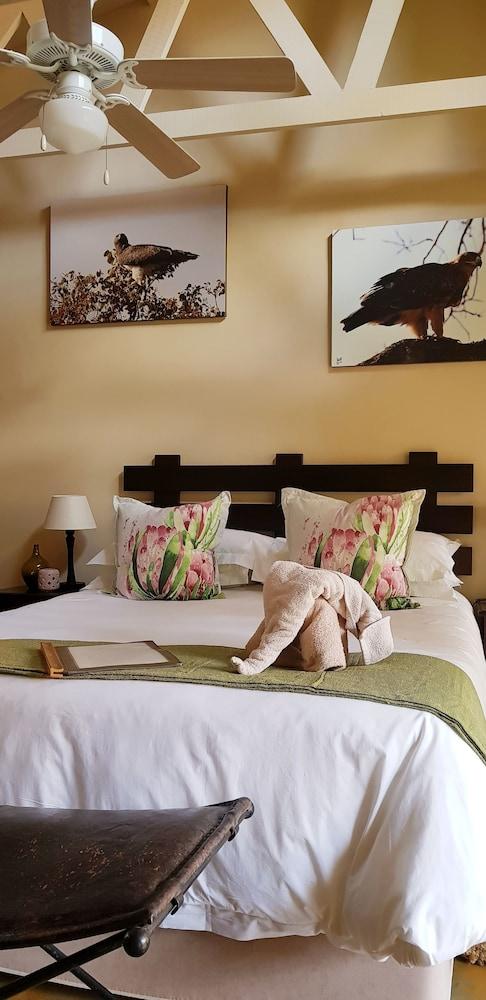 Dreamfields Guesthouse