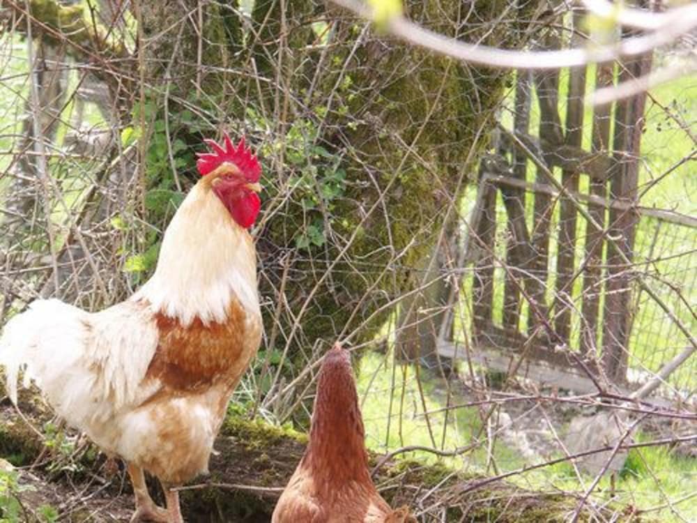 Gite de la Fontaine de Barry