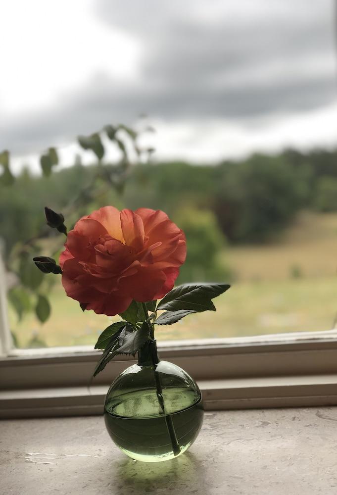 Tastecelebration Residence