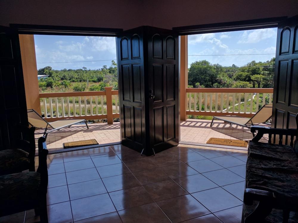 Savannah Sand Dollar