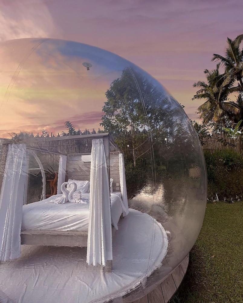 Bubble Hotel Bali Ubud - Glamping
