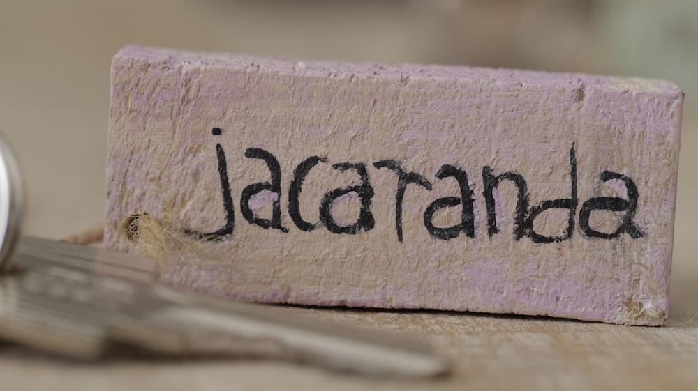 Alojamiento Rural El Pinsapo