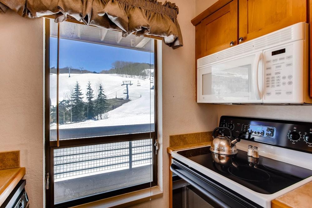 View Of Mt Crested Butte- 1 Br 1 Bedroom Condo - No Cleaning Fee! by RedAwning