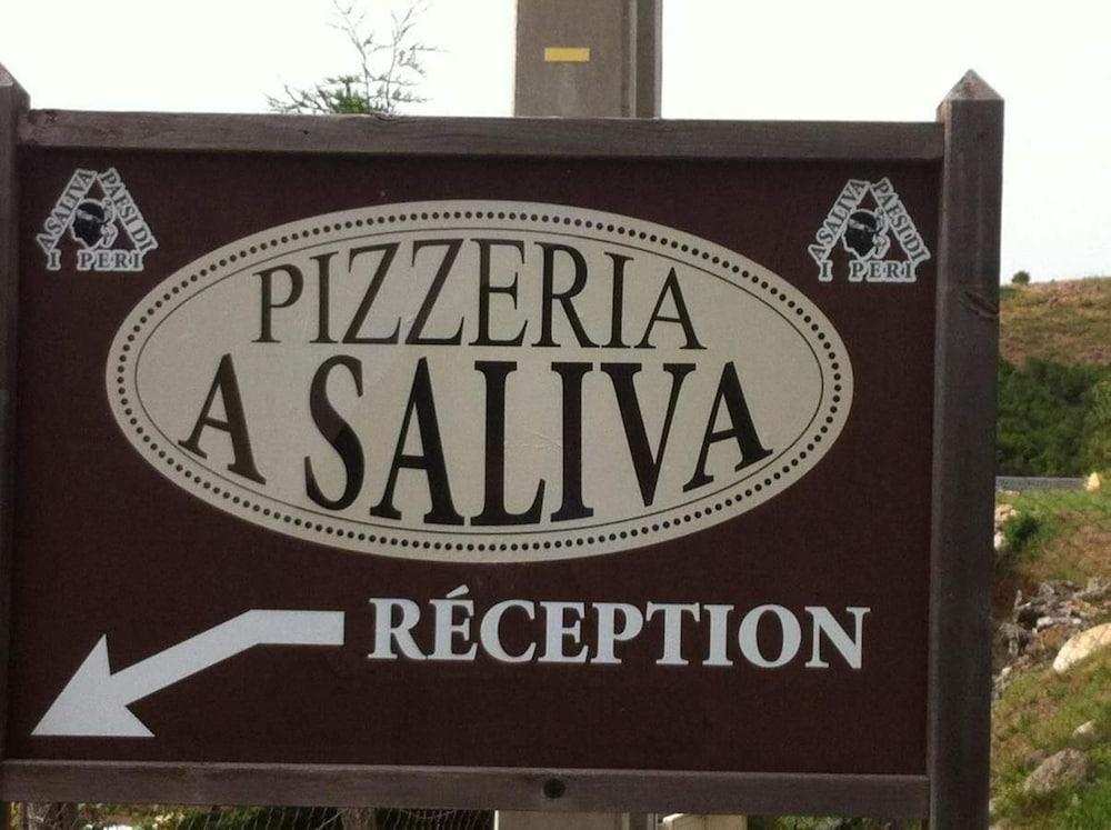 Mobile Home A Saliva