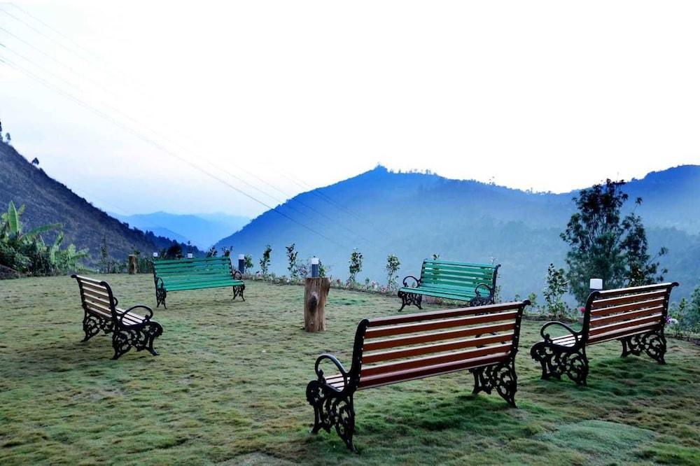 Cherry Blossom Homestay