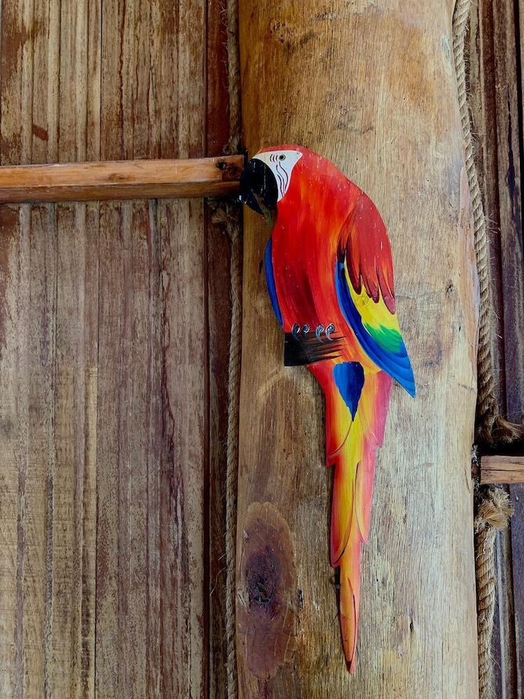 Pousada Chapada dos Veadeiros