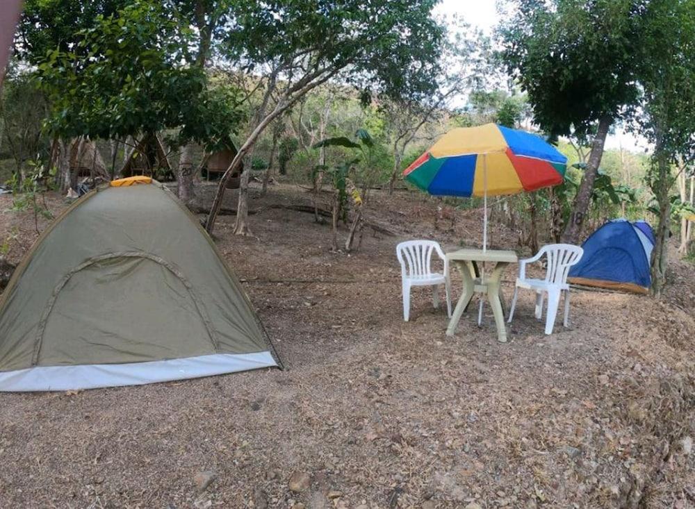 Singalong Nature Camphill Site