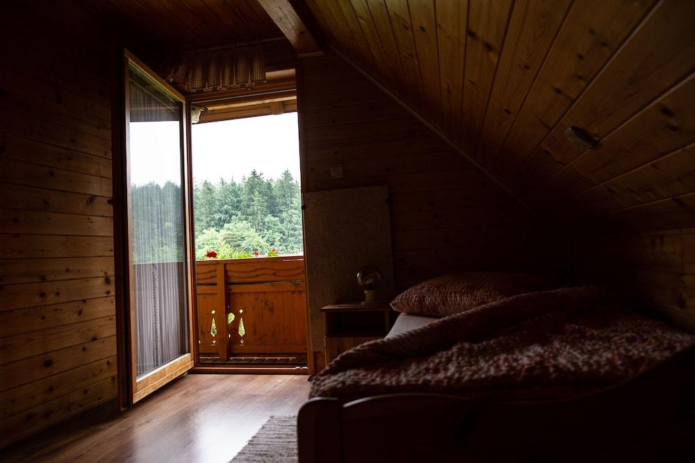 Apartments and wellness center Korošec