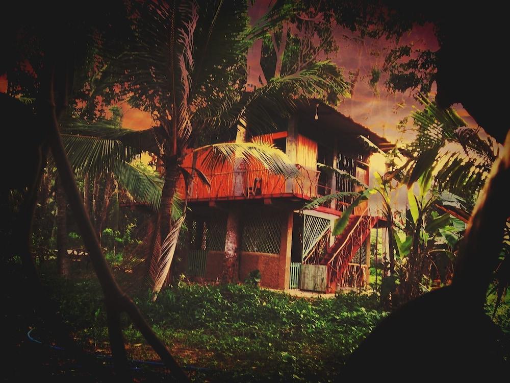 Wooden Paracosm & Resort