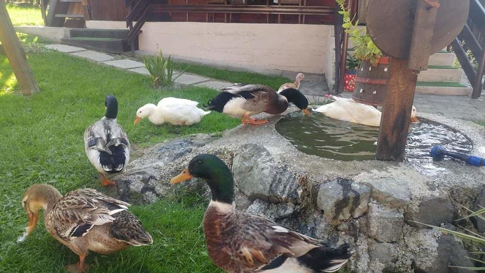 Apartment Sarganska Osmica 8