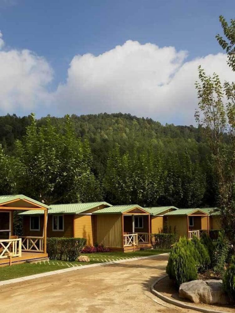 Bassegoda Park Campsite