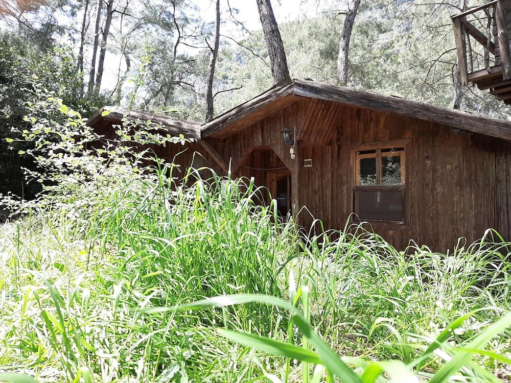 Altaris Bungalows Olympos