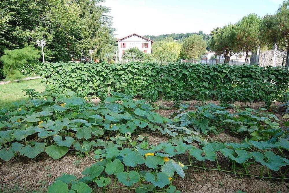 Hotel Pyrénées Atlantique