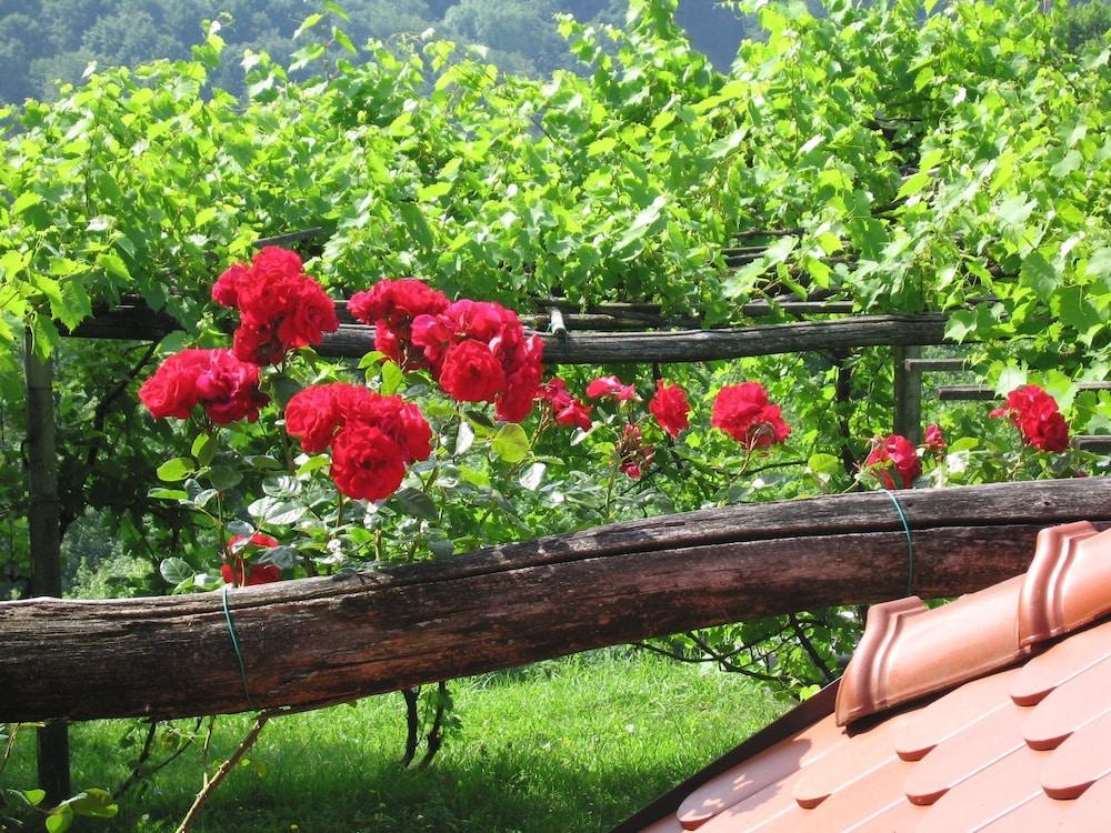 Holiday House Carovina