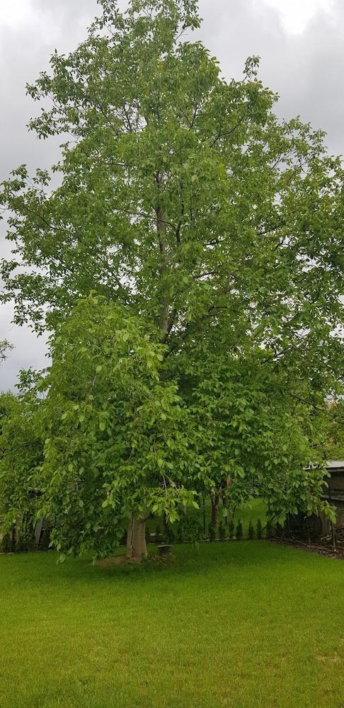 VIP Apartmány Žabník