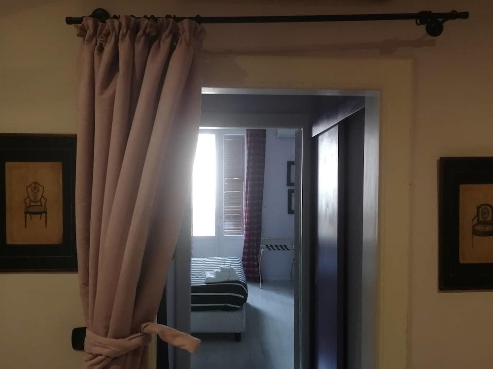 Gatto Bianco Casa dei Venti