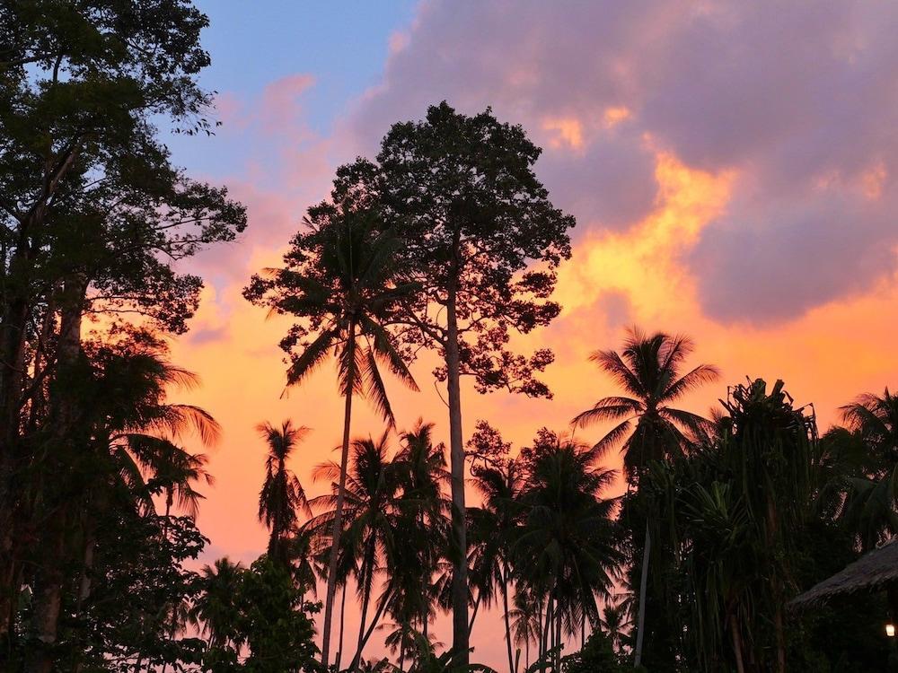 Samui Caravans Hill Camp