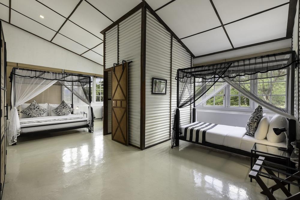 Tea & Experience Factory