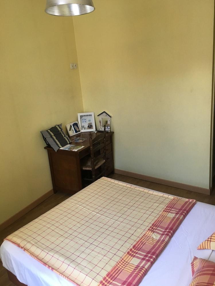 Le Palmyre Soleil de l'Amazonie