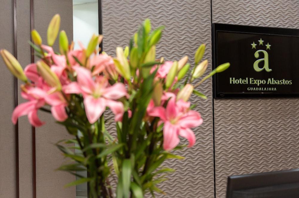 Hotel Expo Abastos
