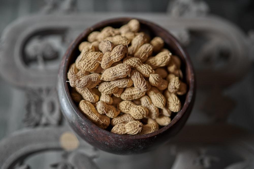 Yangshuo Village Inn