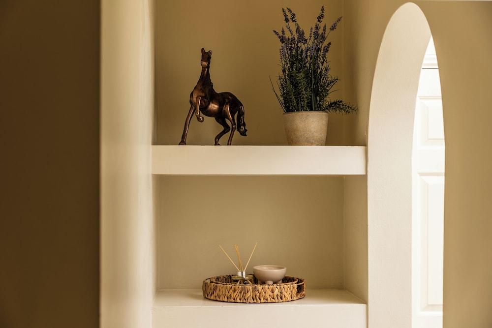 Luxury Apartments - Montpellier Spa Road