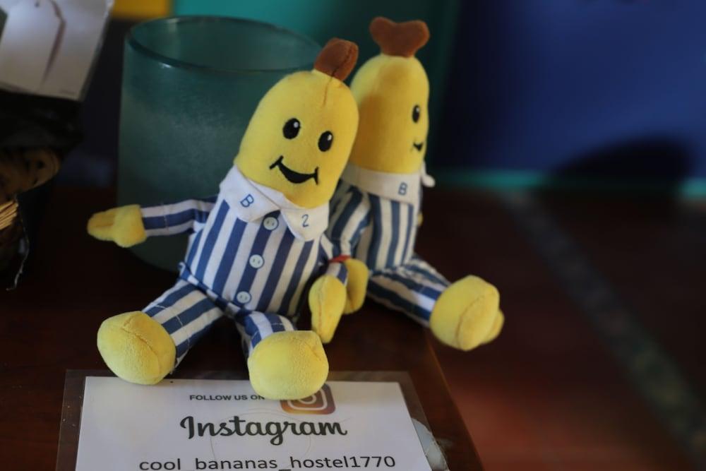 Cool Bananas Backpackers