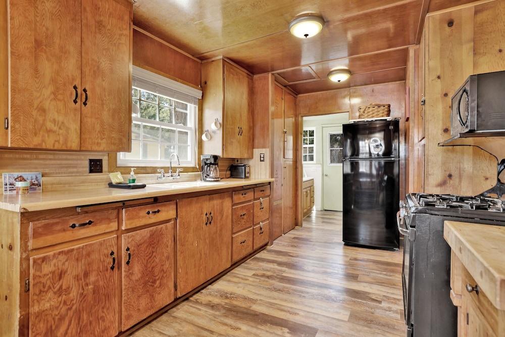 Frank's OLD Bear #149