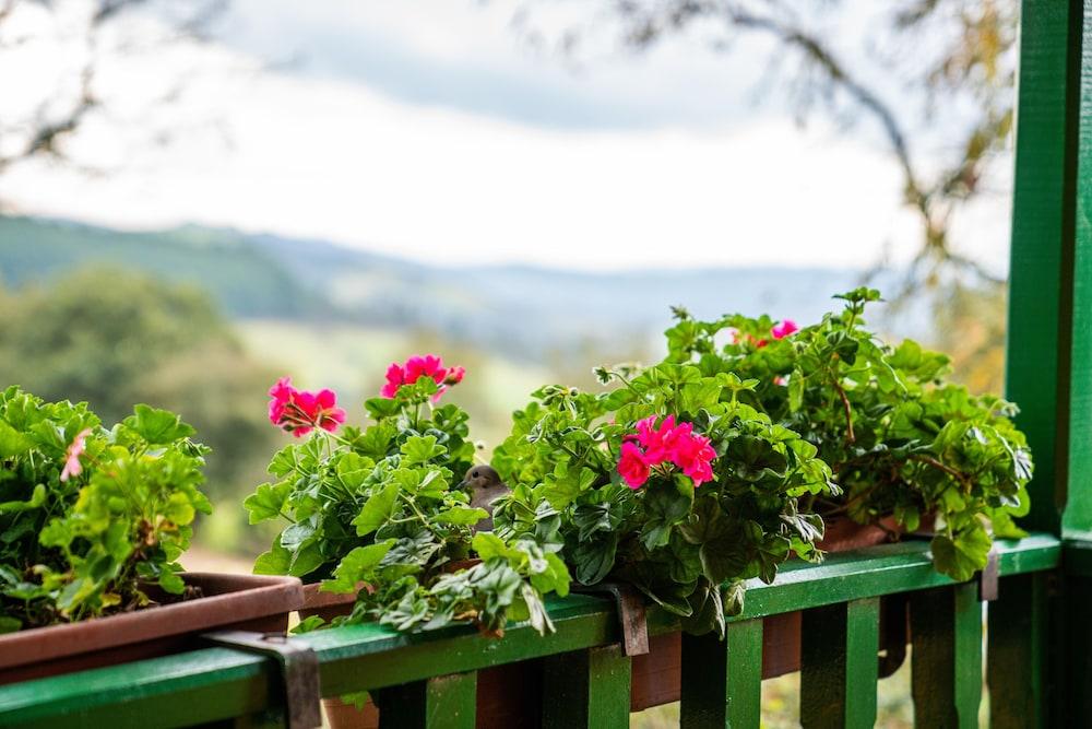 Estancia San Antonio