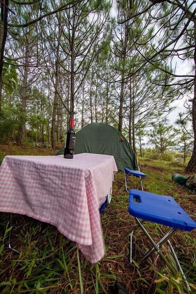 Camping de Los Peroles