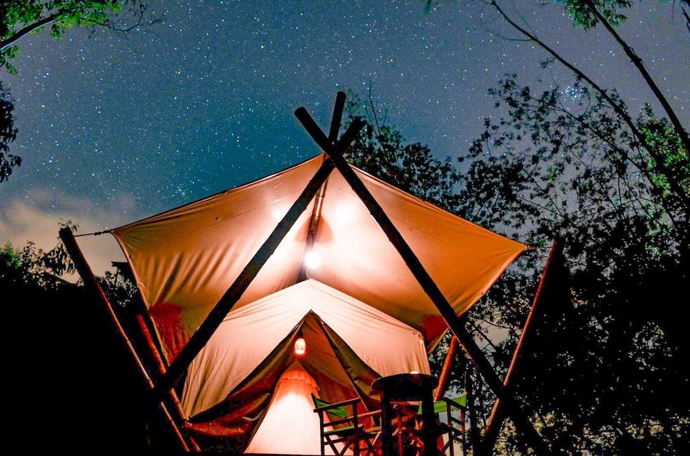 Glamping tipo safari