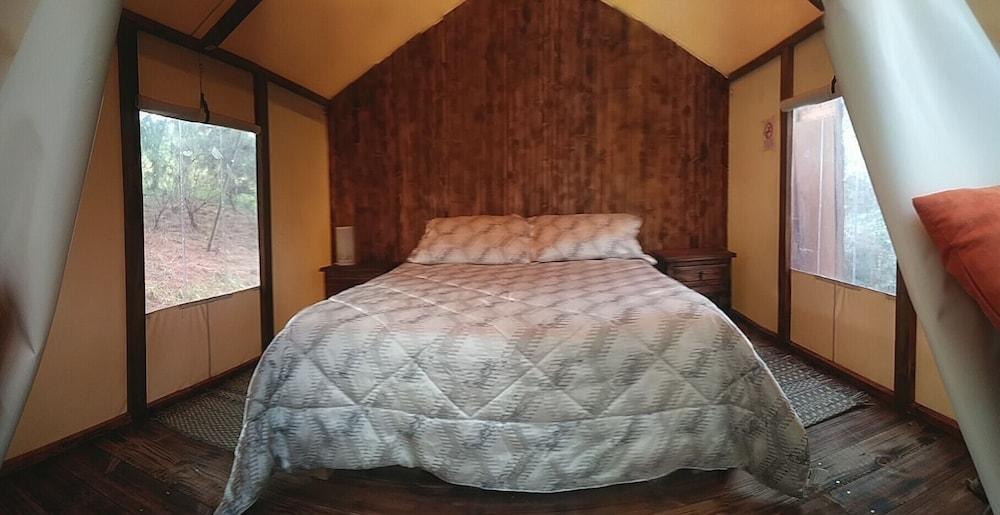 Glamping tipo safari