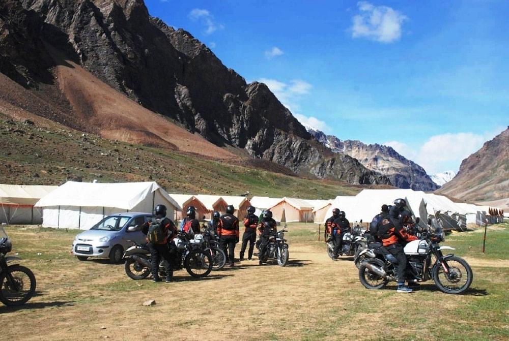 Marmote Camps - Sarchu