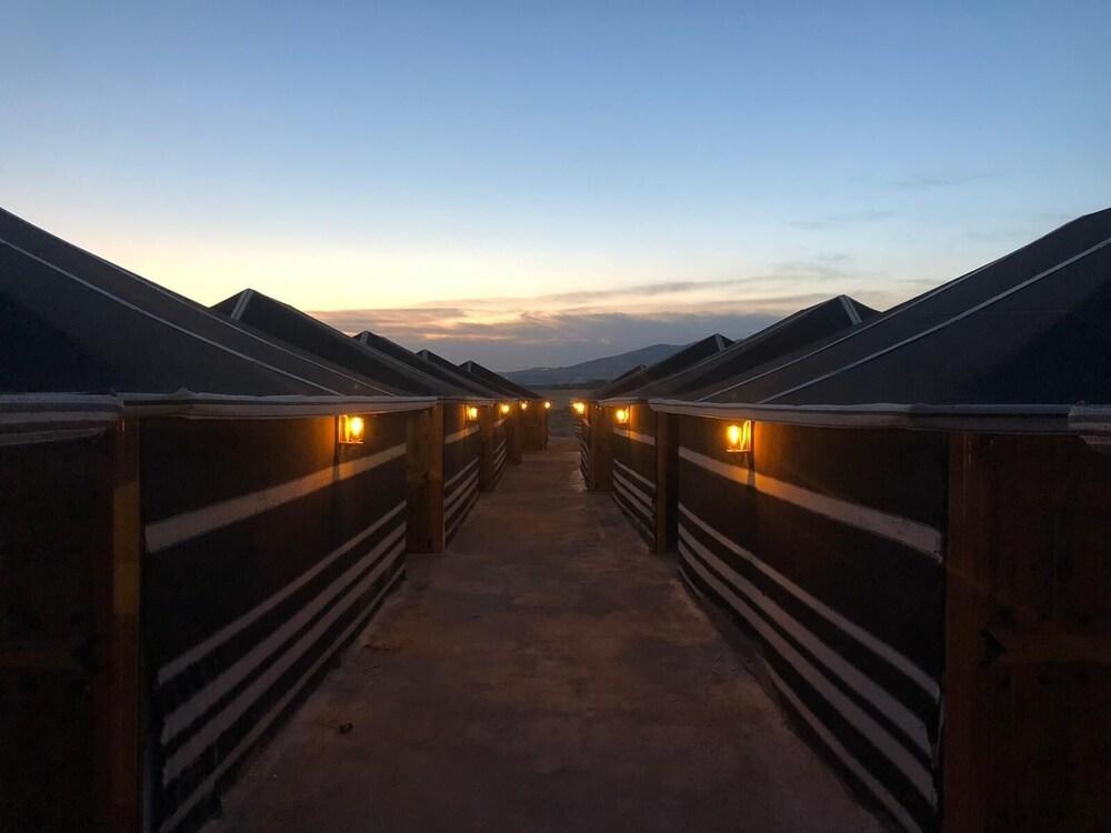 Göbeklitepe Bahce Saray