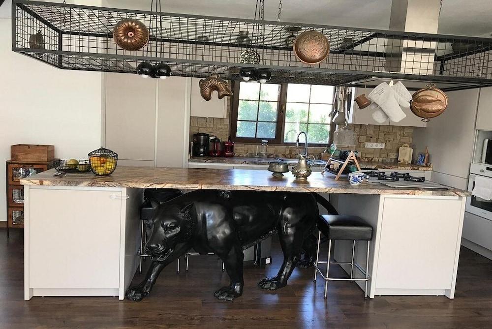 BO047 by Villaofsummer