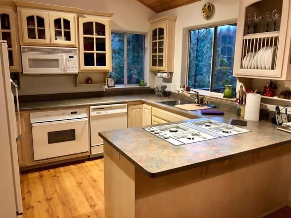 Cabin in the Pines - A