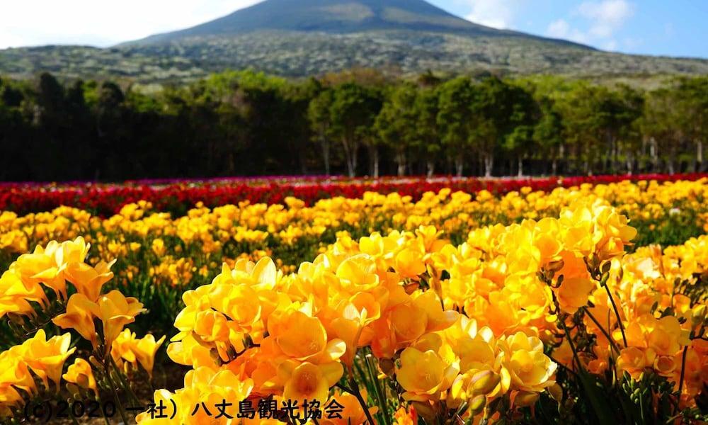 Kokumin Shukusha Sun Marina