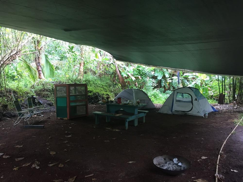 Cinderland EcoVillage - Hostel