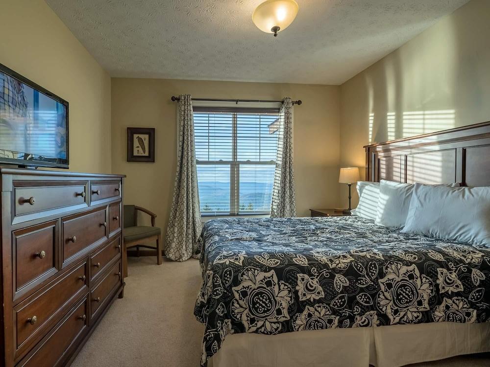 5 Br: Black Bear Crossing #4