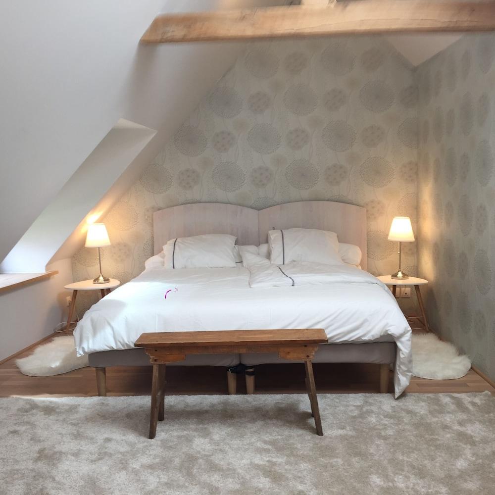 Un Figuier Dans Notre Jardin