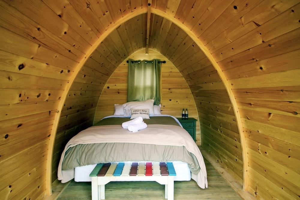 Long Point Eco-Adventures