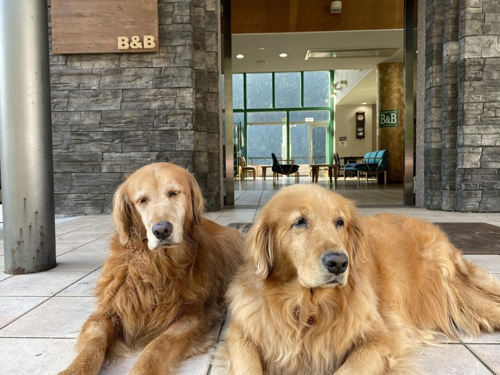 Riverside Hostel B&B – Hostel