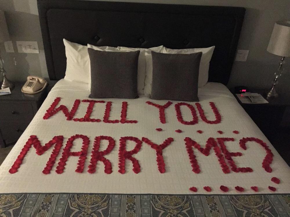 Belamere Swimming Pool Suites