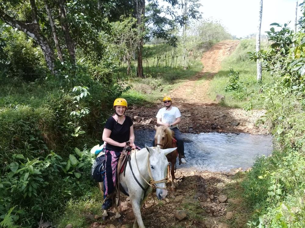 Wonderful View Cabins